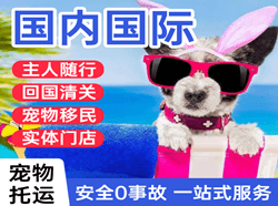 兴凯湖航空空运国际宠物托运 【国